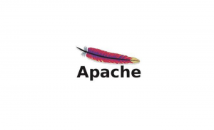 apa itu apache